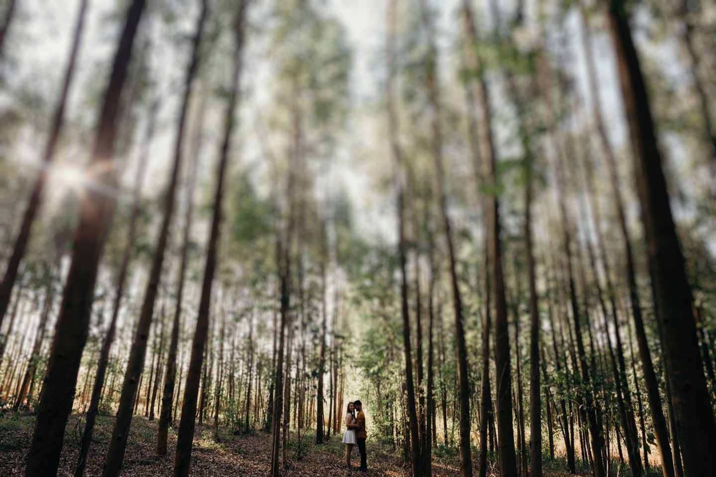 Ensaio pre wedding Tay e Will, Holambra cidade das flores - SP Ensaio pre wedding Tay e Will, Holambra cidade das flores - SP